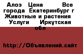 Алоэ › Цена ­ 150 - Все города, Екатеринбург г. Животные и растения » Услуги   . Иркутская обл.